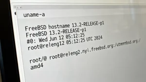 FreeBSD系统版本怎么查看，FreeBSD查看版本命令