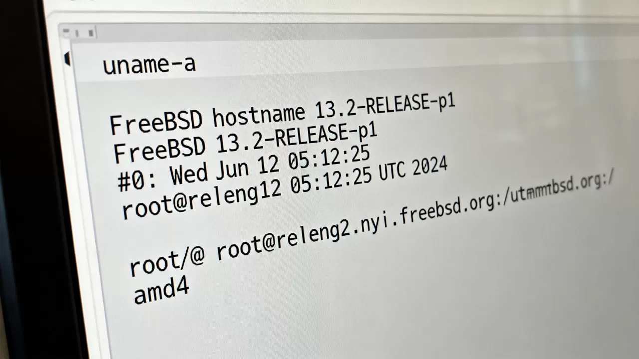 FreeBSD系统版本怎么查看，FreeBSD查看版本命令