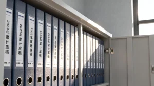 用归档存储长期保存合规所需的审计底稿