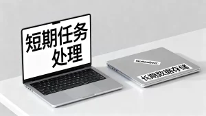 Notebook临时实例和持久实例如何按用途区分，适用场景有哪些？
