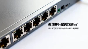 弹性IP闲置收费吗？，弹性IP闲置不释放会不会一直产生费用？