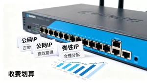 公网IP闲置期间释放还是留弹性IP待复用，弹性公网IP如何收费划算