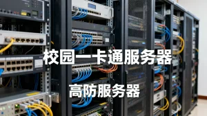 校园一卡通服务器与高防稳定运行如何实现？高防服务器稳定运行