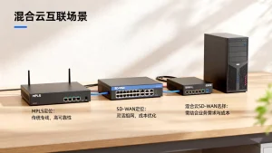 混合云互联场景MPLS与SD-WAN定位差异是什么，混合云SD-WAN选哪个