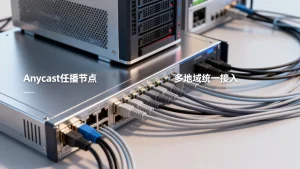多地域业务用Anycast任播实现统一接入的方法