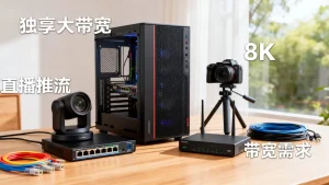 独享大带宽服务器对直播推流有何意义？，直播推流带宽多大合适