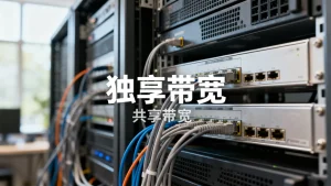 大带宽服务器独享与共享带宽模式有什么区别？，如何选择