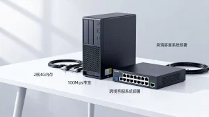 跨境客服系统部署用虚拟专用服务器可行吗，如何选择配置