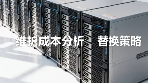 存储服务器选型评估后期维护替换成本高吗，怎么降低维护费用？
