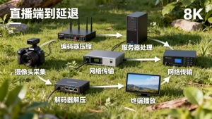 降低直播端到端延迟有哪些环节，怎么拆解