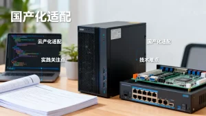 行业云国产化适配有哪些实践关注点？，云国产化适配难点