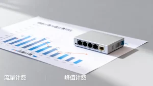 带宽按流量计费与按峰值计费有什么区别，分别适合什么场景？