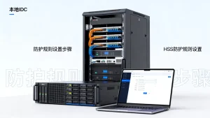 HSS是否支持防护本地IDC服务器，如何设置防护规则？