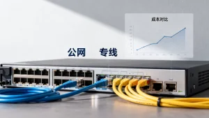 高防回源走公网还是专线成本更低？，高防回源如何选