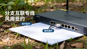 分支互联专线按月还是按年签约更灵活