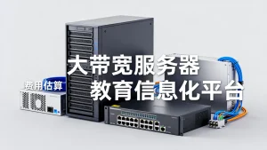 教育信息化平台大带宽服务器费用怎么估算,大带宽服务器多少钱一年
