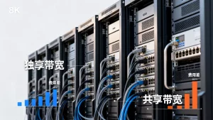 金融业务独享带宽和共享带宽费用差多少，独享带宽贵吗