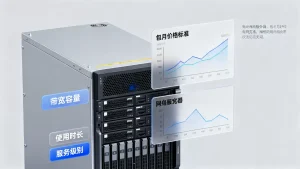 电商包月独享带宽的价格一般是按什么标准定的，包月独享带宽多少钱一个月