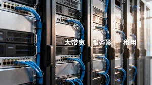 佛山大带宽服务器租用时带宽大小该怎么选
