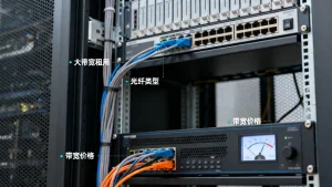 东莞大带宽租用报价怎么查询？机房价格受哪些因素影响？