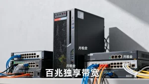 电商百兆独享带宽服务器一个月多少钱？百兆独享带宽租用价格是多少？