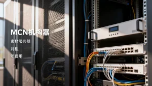 MCN机构素材服务器的月租大概什么水平，一年费用要多少