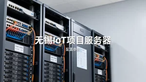 无锡IoT项目服务器租用报价包含哪些？租用费用多少钱一年？