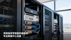 贵阳独享带宽机器租用报价多少？服务器租用价格