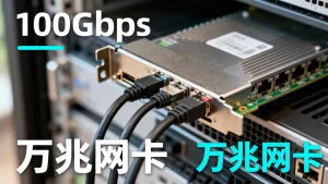 大带宽服务器网卡规格与带宽的匹配核对