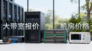 贵阳直播推流大带宽的报价要多少,哪家机房价格最便宜?