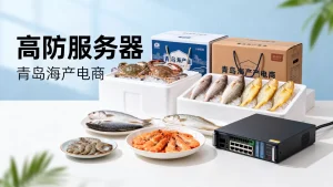 青岛海产电商大促活动卡租高防服务器怎么选，高防服务器租用价格多少