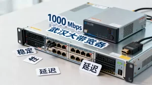 武汉大带宽服务器报价怎么看带宽质量，先看哪几点？