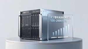 武汉整机租用价格大概在什么区间，合理预算该怎么定？