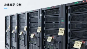 南京游戏项目高防租用成本怎么控制，游戏高防服务器租用价格怎么降低？