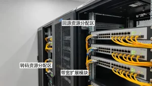 成都直播平台大带宽服务器回源与转码资源怎么分，服务器带宽不够用怎么办