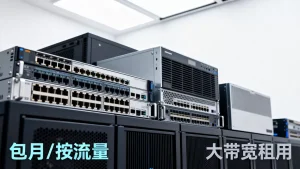 成都大带宽租用包月还是按流量更划算？成都大带宽多少钱一个月？