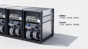 成都千兆带宽服务器配置有哪些要点，适合哪些业务？
