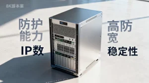 选高防服务器要重点看哪些参数？高防服务器怎么选？