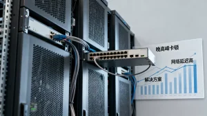 大带宽服务器晚高峰卡顿是什么原因,晚高峰网络延迟高怎么解决