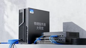 深圳物理服务器租用和大带宽租用成本差在哪?深圳服务器租用多少钱一个月