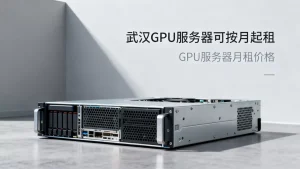 武汉这边的GPU服务器可以按月起租吗，GPU服务器月租价格多少
