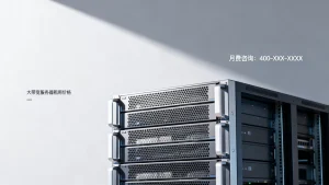 租用大带宽服务器一个月要多少钱，大带宽服务器租用价格是多少？