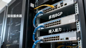 深圳租用千兆服务器为何必看多线BGP？，接入能力影响大吗