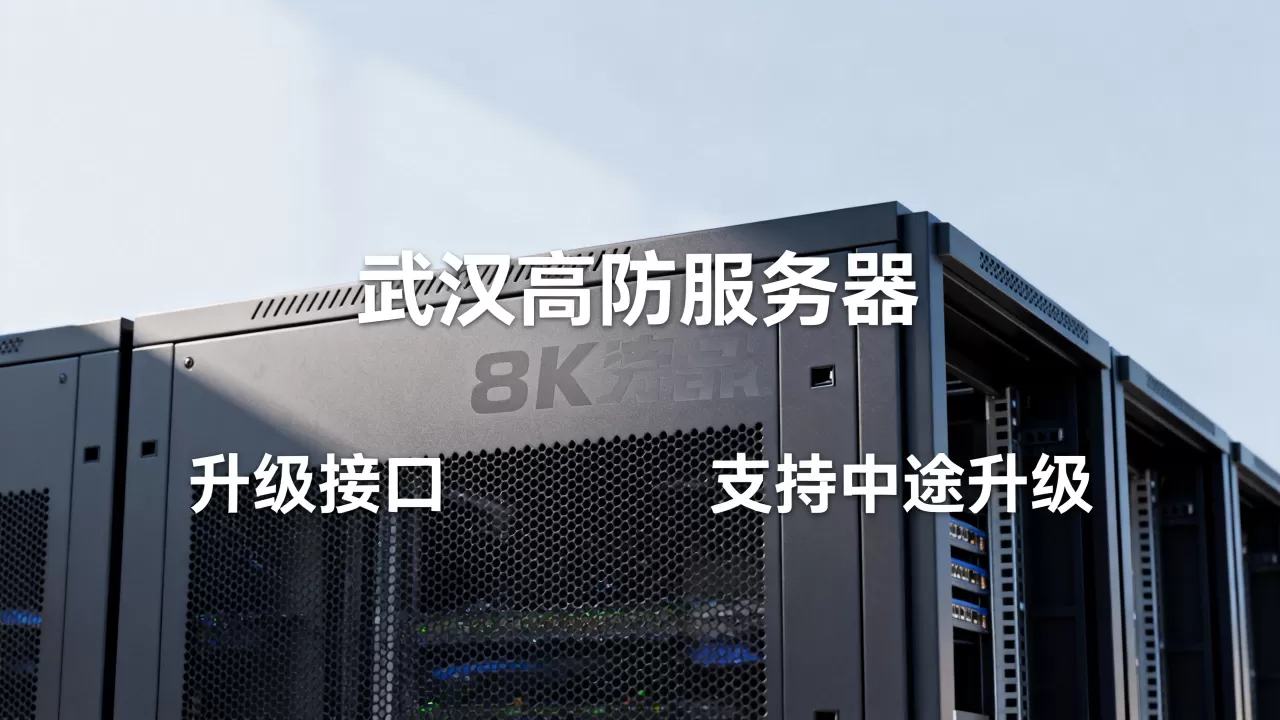武汉高防服务器租用支持中途升级吗，升级流程复杂吗