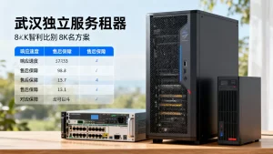 武汉独立服务器租用怎么对比服务商响应？响应速度谁最快，售后保障哪家强