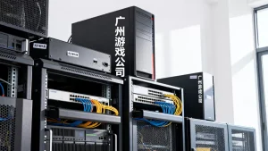 广州游戏公司需要租高防服务器吗,高防服务器怎么选