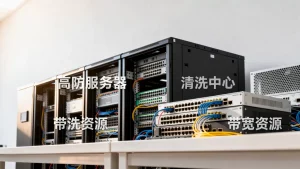 广州高防服务器租用清洗中心带宽资源怎样？高防服务器租用哪家好