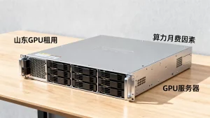山东GPU租用价格构成里算力月费主要看哪些因素，GPU服务器租用一个月多少钱？