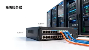 山东游戏行业高防服务器租用月租费用怎么预估,高防服务器租用成本怎么算?