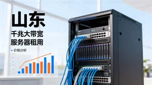 山东千兆大带宽服务器租用价格与性价比分析